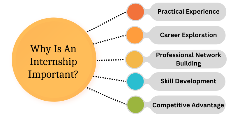 Why Is An Internship Important?